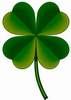 shamrock2